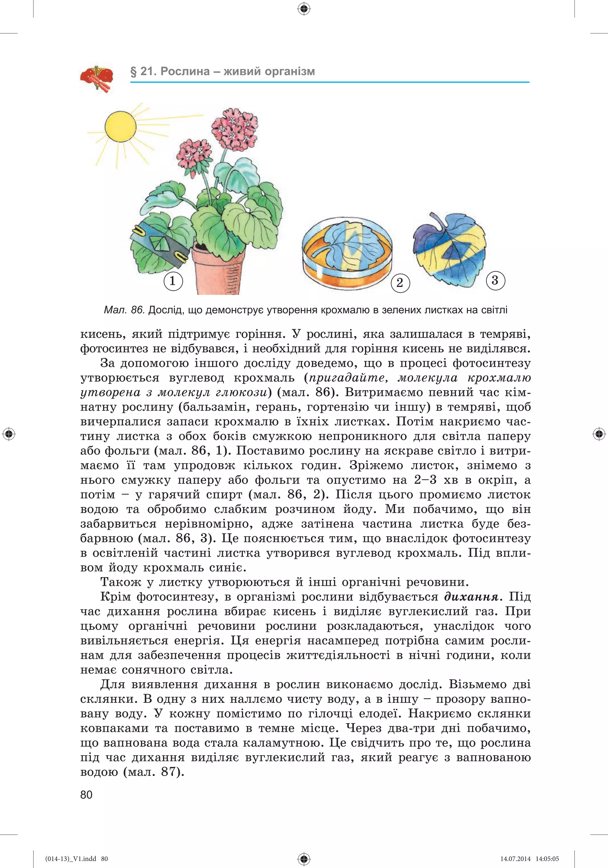 Slide 81