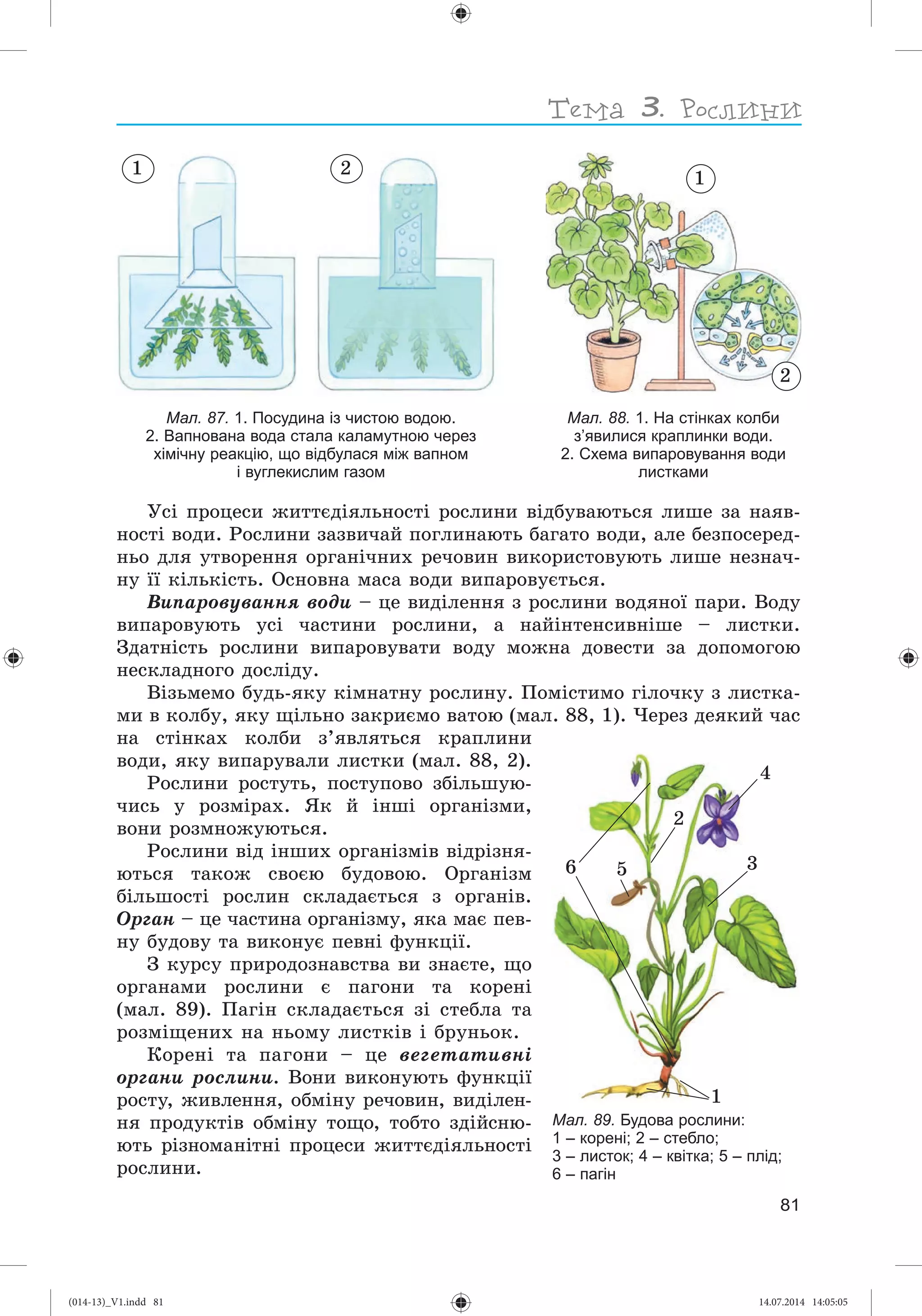 Slide 82