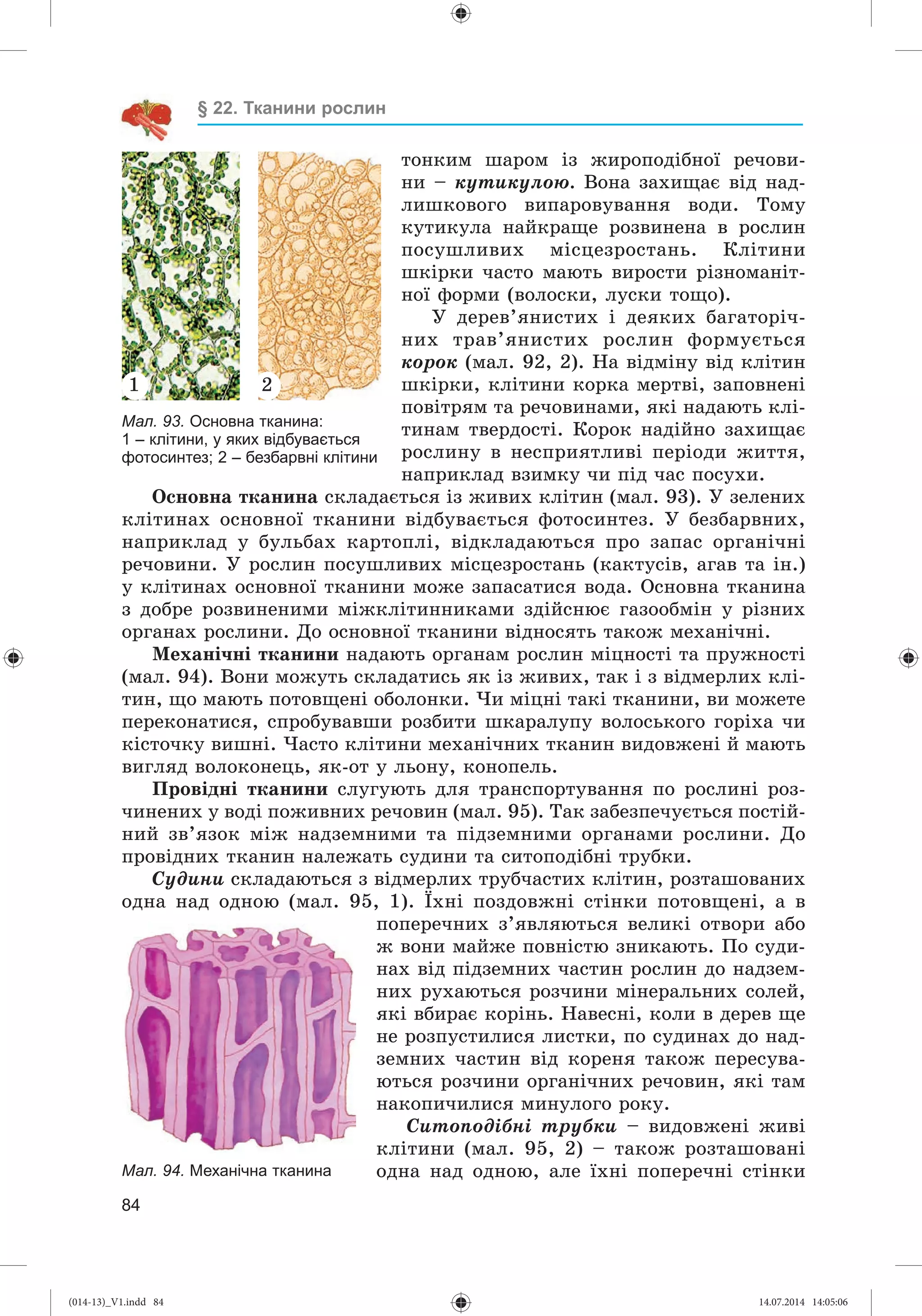 Slide 85