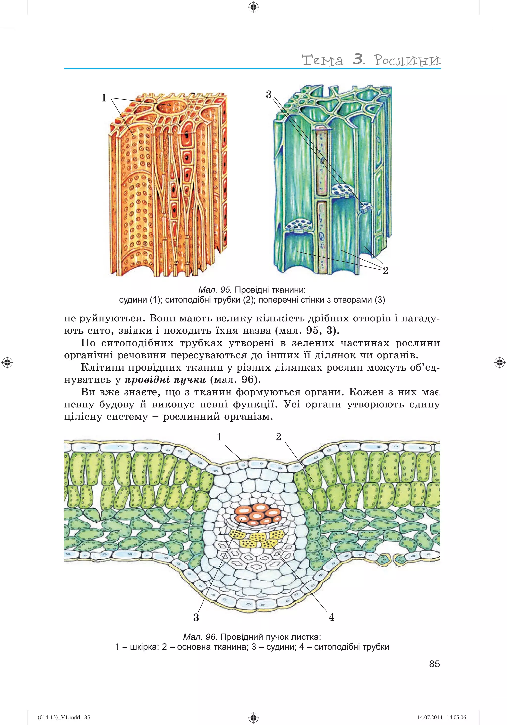 Slide 86