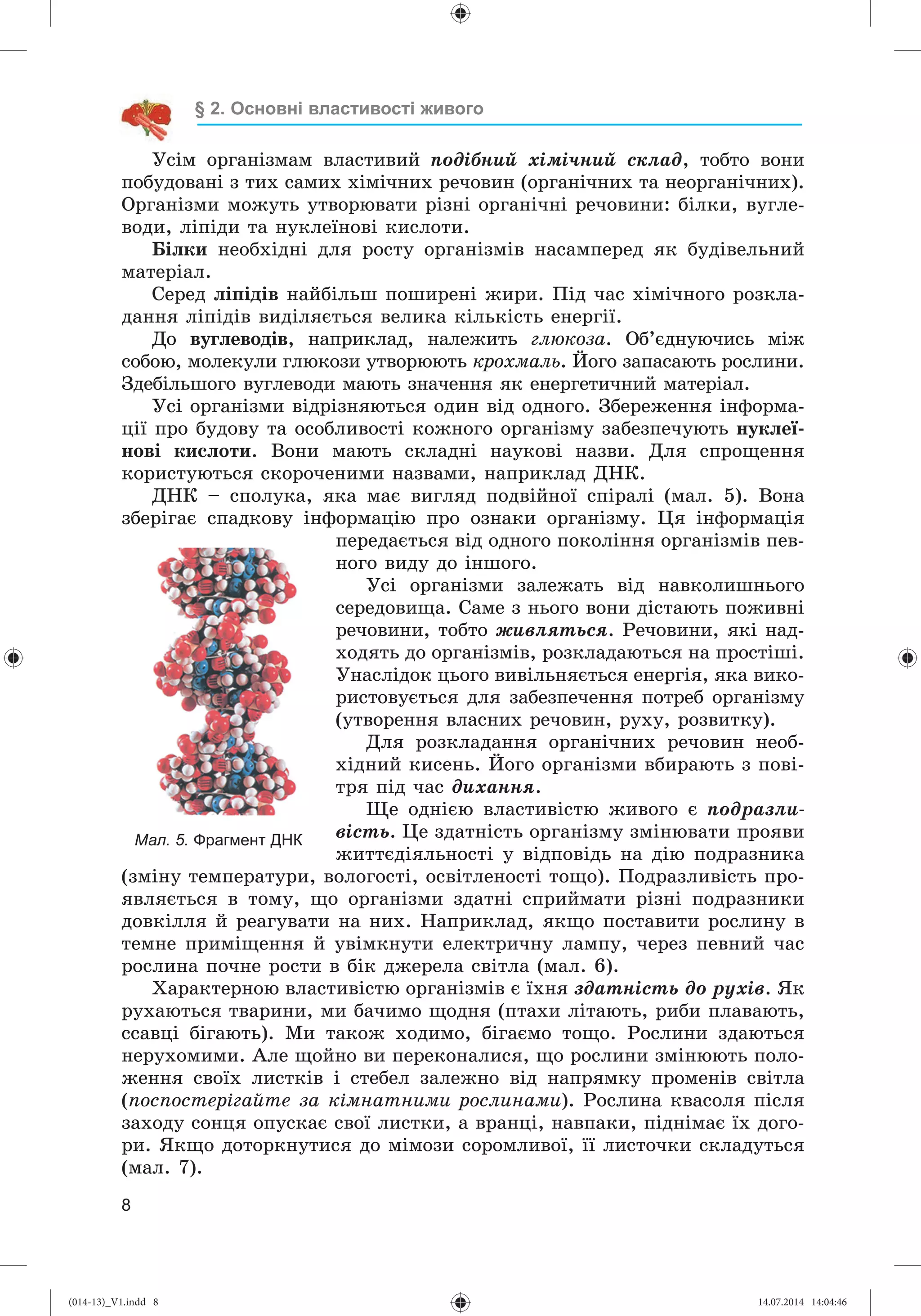 Slide 9
