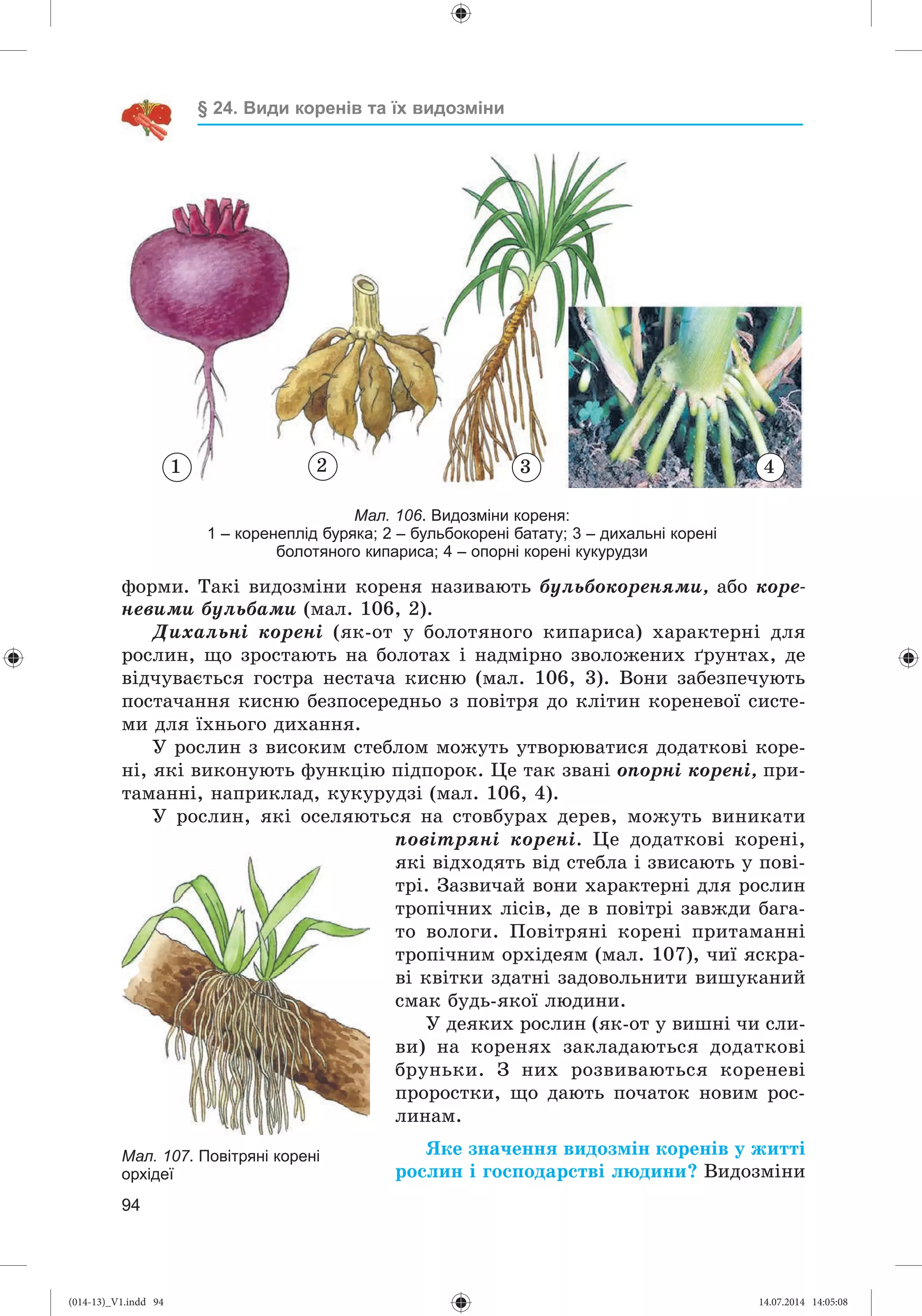 Slide 95