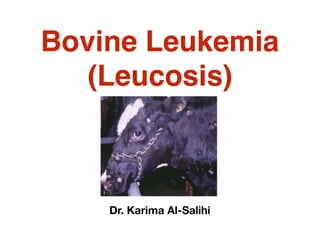Bovine Leukemia
(Leucosis)
Dr. Karima Al-Salihi
 