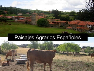 Paisajes Agrarios Españoles
 