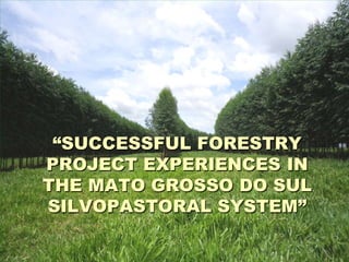 “SUCCESSFUL FORESTRY
PROJECT EXPERIENCES IN
THE MATO GROSSO DO SUL
SILVOPASTORAL SYSTEM”
 