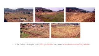 Land Use Changes on Soil Carbon Dynamics, Stocks in Eastern Himalayas ...