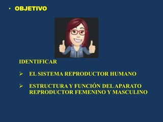 • OBJETIVO
IDENTIFICAR
 EL SISTEMA REPRODUCTOR HUMANO
 ESTRUCTURAY FUNCIÓN DELAPARATO
REPRODUCTOR FEMENINO Y MASCULINO
 