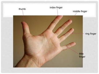 Center Finger UNIT 6B-THE BODY PARTS | PPTX