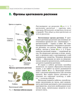 ОБЩЕЕ ЗНАКОМСТВО С ЦВЕТКОВЫМИ РАСТЕНИЯМИ
2. Органы цветкового растения
Рассмотрите на рисунках (I рис. 4, 6, 7)
цветковые растения — сурепку, мак,
черемуху. Вспомните, встречали ли вы их
в природе. Что общее у этих растений и в
чем их различие.
Вегетативные органы растения. У цвет
кового растения различают два основных ве
гетативных органа (от лат. «вегетативус» —
растительный) — корень и побег. Их глав
ные функции связаны с питанием и дыхани
ем растения, его ростом. Побег состоит из
стебля, листьев и почек (I рис. 4, 5). У боль
шинства растений корень — подземный ор
ган. Он закрепляет растение в почве, всасы
вает в организм воду и растворенные в ней
минеральные вещества. Основная функция
побега — образование на свету из неоргани
ческих веществ органических, необходимых
для роста и развития растения.
И корни и побеги растения способны
ветвиться: на корнях образуются боковые
корни, а на побеге из почек развиваются
новые побеги (I рис. 5). Благодаря ветвле
нию у растения формируются две системы
органов. Все корни одного растения со
ставляет его корневую систему, а побе
ги — систему побегов.
Ветвление корней и побегов, способству
ющее увеличению их числа, дает возмож
ность растению расширять свое жизненное
пространство, получать необходимое коли
чество воды, питательных веществ и сол
нечного света.
10
Рис. 4.
Органы цветкового растения
Корень
Корневая
система
Лист
Система
побегов
Цветок в соцветии
Плод
Рис. 5. Система побегов вишни
Стебель
Вегетативный побег
Почки
Листья
Стебель
 