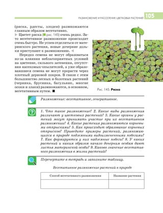 РАЗМНОЖЕНИЕ И РАССЕЛЕНИЕ ЦВЕТКОВЫХ РАСТЕНИЙ 105
(ряска, рдесты, элодея) размножаются
главным образом вегетативно.
* Цветет ряска (I рис. 145) очень редко. За
то вегететивное размножение происходит
очень быстро. Не успев отделиться от мате
ринского растения, новые дочерние доль
ки приступают к размножению. )
Нередко семена не могут образоваться
из за влияния неблагоприятных условий
на цветение, сильного затенения, отсутст
вия насекомых опылителей, а уже образо
вавшиеся семена не могут прорасти через
плотный дерновой покров. В связи с этим
большинство лесных и болотных растений
(черника, брусника, багульник, многие
осоки и злаки) размножаются, в основном,
вегетативным путем. I
Размножение: вегетативное, генеративное.
1. Что такое размножение? 2. Какие виды размножения
различают у цветковых растений? 3. Какие органы у рас
тений могут принимать участие при их вегетативном
размножении? 4. Какие растения размножаются корневы
ми отпрысками? 5. Как происходит образование корневых
отпрысков? Приведите примеры растений, размножаю
щихся в природе подземными видоизмененными побегами?
7. Как формируются у них надземные побеги? 8. У каких
растений и каким образом начало дочерним особям дают
листья материнской особи? 9. Каково значение вегетатив
ного размножения в жизни растений?
Перечертите в тетрадь и заполните таблицу.
Вегетативное размножение растений в природе
Способ вегетативного размножения Название растения
Рис. 145. Ряска
 