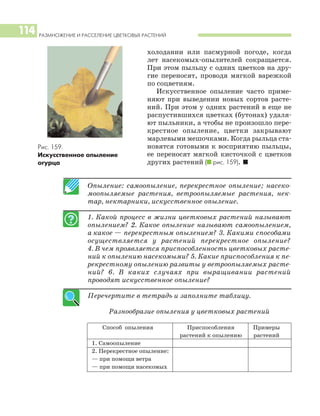 РАЗМНОЖЕНИЕ И РАССЕЛЕНИЕ ЦВЕТКОВЫХ РАСТЕНИЙ
114
холодании или пасмурной погоде, когда
лет насекомых опылителей сокращается.
При этом пыльцу с одних цветков на дру
гие переносят, проводя мягкой варежкой
по соцветиям.
Искусственное опыление часто приме
няют при выведении новых сортов расте
ний. При этом у одних растений в еще не
распустившихся цветках (бутонах) удаля
ют пыльники, а чтобы не произошло пере
крестное опыление, цветки закрывают
марлевыми мешочками. Когда рыльца ста
новятся готовыми к восприятию пыльцы,
ее переносят мягкой кисточкой с цветков
других растений (I рис. 159). I
Опыление: самоопыление, перекрестное опыление; насеко
моопыляемые растения, ветроопыляемые растения, нек
тар, нектарники, искусственное опыление.
1. Какой процесс в жизни цветковых растений называют
опылением? 2. Какое опыление называют самоопылением,
а какое — перекрестным опылением? 3. Какими способами
осуществляется у растений перекрестное опыление?
4. В чем проявляется приспособленность цветковых расте
ний к опылению насекомыми? 5. Какие приспособления к пе
рекрестному опылению развиты у ветроопыляемых расте
ний? 6. В каких случаях при выращивании растений
проводят искусственное опыление?
Перечертите в тетрадь и заполните таблицу.
Разнообразие опыления у цветковых растений
Способ опыления Приспособления Примеры
растений к опылению растений
1. Самоопыление
2. Перекрестное опыление:
— при помощи ветра
— при помощи насекомых
Рис. 159.
Искусственное опыление
огурца
 