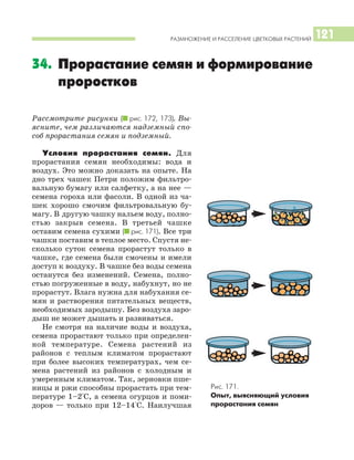 РАЗМНОЖЕНИЕ И РАССЕЛЕНИЕ ЦВЕТКОВЫХ РАСТЕНИЙ 121
Рассмотрите рисунки (I рис. 172, 173). Вы
ясните, чем различаются надземный спо
соб прорастания семян и подземный.
Условия прорастания семян. Для
прорастания семян необходимы: вода и
воздух. Это можно доказать на опыте. На
дно трех чашек Петри положим фильтро
вальную бумагу или салфетку, а на нее —
семена гороха или фасоли. В одной из ча
шек хорошо смочим фильтровальную бу
магу. В другую чашку нальем воду, полно
стью закрыв семена. В третьей чашке
оставим семена сухими (I рис. 171). Все три
чашки поставим в теплое место. Спустя не
сколько суток семена прорастут только в
чашке, где семена были смочены и имели
доступ к воздуху. В чашке без воды семена
останутся без изменений. Семена, полно
стью погруженные в воду, набухнут, но не
прорастут. Влага нужна для набухания се
мян и растворения питательных веществ,
необходимых зародышу. Без воздуха заро
дыш не может дышать и развиваться.
Не смотря на наличие воды и воздуха,
семена прорастают только при определен
ной температуре. Семена растений из
районов с теплым климатом прорастают
при более высоких температурах, чем се
мена растений из районов с холодным и
умеренным климатом. Так, зерновки пше
ницы и ржи способны прорастать при тем
пературе 1–2°С, а семена огурцов и поми
доров — только при 12–14°С. Наилучшая
34. Прорастание семян и формирование
проростков
Рис. 171.
Опыт, выясняющий условия
прорастания семян
 