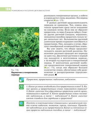 разовывать генеративные органы, а побеги
и корни растут очень медленно. Это период
старости (I рис. 175).
У разных растений продолжительность
периодов не одинакова. Так, семена ивы,
тополя прорастают сразу после попадания
на влажную почву. Если они не образуют
проростков, то через 2 недели гибнут. Семе
на других растений (ландыш, ятрышник,
женьшень) способны прорастать только че
рез несколько лет. Большинство растений
длительное время сохраняют способность к
прорастанию. Они, находясь в почве, обра
зуют своеобразный почвенный банк семян.
Вы уже знаете, что общая продолжи
тельность жизни растений различна. Од
нолетние растения проходят все периоды
за один год. Двулетние растения в первый
год находятся в вегетативном периоде,
а на второй год переходят в генеративный
период. У многолетних растений наибо
лее продолжителен генеративный период
(I рис. 176), когда они образуют большое
количество семян, обеспечивая себе разм
ножение и распространение (продолже
ние рода). I
РАЗМНОЖЕНИЕ И РАССЕЛЕНИЕ ЦВЕТКОВЫХ РАСТЕНИЙ
124
Проросток, прорастание: надземное, подземное.
1. Какие условия необходимы для прорастания семян? 2. Ка
кие органы у прорастающих семян появляются первыми?
3. Какое значение для образования проростка имеет орган,
появившийся первым? 4. Какое прорастание семян называ
ют надземным, а какое — подземным? 5. Какое значение
имеют семядоли для зародыша и проростка?
Посейте в пластмассовые стаканчики с увлажненной поч
вой семена кабачков, томатов, гороха, пшеницы. Проведи
те наблюдения за их прорастанием. Какие из посеянных се
мян проросли надземным способом, а какие — подземным?
Рис. 176.
Одуванчик в генеративном
периоде
 