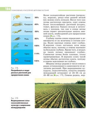 РАЗМНОЖЕНИЕ И РАССЕЛЕНИЕ ЦВЕТКОВЫХ РАСТЕНИЙ
126
Более холодостойкие растения (петруш
ку, морковь, репу) сеют ранней весной
(их можно сеять осенью). После того как
почва достаточно прогрета, сеют семена
более теплолюбивых растений (огурец,
томат, фасоль). Однако нельзя и затяги
вать с посевом, так как в конце весны
почва теряет значительные запасы зим
ней влаги, необходимой для прорастания
семян (I рис. 178).
Глубину посева семян определяют в за
висимости от их величины и состава поч
вы. Более крупные семена сеют глубже.
В верхних слоях песчаных почв воды
обычно мало, поэтому и семена высевают
на большую глубину. Кроме того, и воздух
на таких почвах проникает глубже.
Глинистые почвы более плотные, плохо
проветриваемые. В верхних слоях такой
почвы обычно достаточно влаги, поэтому
и семена заделывают не глубоко.
Ширину между рядами и число семян в
рядах устанавливают в зависимости от ве
личины растений. При выращивании ку
курузы, подсолнечника, капусты ширину
междурядий оставляют от 25–35 см до
45–60 см (I рис. 179). Семена редиса, мор
Рис. 179.
Выращивание сель
скохозяйственных
культур с широкими
междурядьями
Рис. 178.
Потребность в воде
разных растений для
прорастания семян
Просо
Кукуруза
Пшеница
Рожь
Лен
Горох
Клевер
 