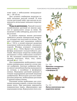 РАЗМНОЖЕНИЕ И РАССЕЛЕНИЕ ЦВЕТКОВЫХ РАСТЕНИЙ 127
кови сеют с небольшими междурядья
ми — 10–15 см.
Для лучшего снабжения воздухом се
мена засыпают рыхлой почвой. В этом
случае растущий побег при выходе на по
верхность испытывает меньшее сопротив
ление.
Уход за растениями. Урожай сельско
хозяйственных растений во многом зави
сит от правильного ухода за ними. Он
включает в себя подкормку, рыхление поч
вы и полив.
В разные периоды жизни растению
требуются разные минеральные вещест
ва, которые они получают из почвы. Так,
азот усиливает рост надземных побегов
(I рис. 180(1)), а калий помогает развитию
подземных побегов (клубней, луковиц) и
корней. Фосфор ускоряет созревание
плодов (I рис. 180(2)). Кроме того, калий и
фосфор повышают холодостойкость рас
тений. Некоторые вещества необходимы
растениям в очень небольшом количест
ве. Их называют микроэлементами, на
пример марганец, медь, иод, цинк,
магний (I рис. 181).
Для поддержания необходимого содер
жания минеральных веществ в почву вно
сят удобрения. Азотные удобрения обыч
но вносят весной (они быстро вымываются
из почвы), а калийные и фосфорные
осенью. Подкормку растений проводят в
течение выращивания растений жидкими
удобрениями. Используют для этого мине
ральные вещества, необходимые растению
в данный период жизни.
Рыхление почвы необходимо для улуч
шения дыхания корней, а также для сохра
нения влаги. При рыхлении нарушается
поверхностная корка, образующаяся при
подсыхании почвы. В результате этого в по
Рис. 180.
Признаки «голодания»
томата азотом (1)
и фосфором (2)
Рис. 181.
Листья хлопчатника при
недостатке магния
1
2
 