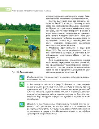 РАЗМНОЖЕНИЕ И РАССЕЛЕНИЕ ЦВЕТКОВЫХ РАСТЕНИЙ
128
Глубина посева семян, всхожесть семян; подкормка, рыхле
ние почвы, полив.
1. Как готовят семена к посеву? 2. Каковы различия требо
ваний у семян растений к к воде, воздуху и теплу при их
прорастании? 3. С чем связаны названные вами различия?
4. С чем связана глубина посева семян? 5. Почему семена од
них растений сеют в рядки, расположенные на близком рас
стоянии друг от друга, а других — в рядки с широкими меж
дурядиями?
Посейте в пластмассовые стаканчики с почвой семена ка
кого — либо растения, например редиса или томата, на
разную глубину (0,5; 1,5; 2,5; 5 см). Проведите наблюдения
за появлением проростков. Отметьте, какие из них будут
лучше расти и развиваться.
верхностном слое сохраняется влага. Рых
ление иногда называют «сухим поливом».
Клетки растений, как вы помните, со
стоят на 70–90% из воды. Поэтому для их
роста она необходима в большом количест
ве. Кроме того, растения, особенно в жар
кие дни, много воды испаряют. В связи с
этим очень важно своевременно произво
дить полив. Следует учитывать, что раз
ным растениям требуется неодинаковое ее
количество. Много воды необходимо ка
пусте, огурцам, помидорам, несколько
меньше — моркови и свекле.
* Особенно требователен к воде рис
(I рис. 182). Его часто выращивают на по
лях, затопленных водой. У жителей Юж
ной Азии есть пословица «Вода — это ду
ша риса». )
Для поддержания плодородия почвы
необходимо чередовать посевы растений.
Это предотвращает одностороннее истоще
ние почвы, так как разные растения извле
кают из нее в процессе выращивания раз
ные минеральные вещества. IРис. 182. Рисовое поле
 