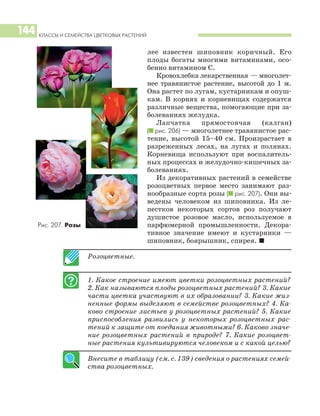 КЛАССЫ И СЕМЕЙСТВА ЦВЕТКОВЫХ РАСТЕНИЙ
144
лее известен шиповник коричный. Его
плоды богаты многими витаминами, осо
бенно витамином С.
Кровохлебка лекарственная — многолет
нее травянистое растение, высотой до 1 м.
Она растет по лугам, кустарникам и опуш
кам. В корнях и корневищах содержатся
различные вещества, помогающие при за
болеваниях желудка.
Лапчатка прямостоячая (калган)
(I рис. 206) — многолетнее травянистое рас
тение, высотой 15–40 см. Произрастает в
разреженных лесах, на лугах и полянах.
Корневища используют при воспалитель
ных процессах и желудочно кишечных за
болеваниях.
Из декоративных растений в семействе
розоцветных первое место занимают раз
нообразные сорта розы (I рис. 207). Они вы
ведены человеком из шиповника. Из ле
пестков некоторых сортов роз получают
душистое розовое масло, используемое в
парфюмерной промышленности. Декора
тивное значение имеют и кустарники —
шиповник, боярышник, спирея. I
Розоцветные.
1. Какое строение имеют цветки розоцветных растений?
2. Как называются плоды розоцветных растений? 3. Какие
части цветка участвуют в их образовании? 3. Какие жиз
ненные формы выделяют в семействе розоцветных? 4. Ка
ково строение листьев у розоцветных растений? 5. Какие
приспособления развились у некоторых розоцветных рас
тений к защите от поедания животными? 6. Каково значе
ние розоцветных растений в природе? 7. Какие розоцвет
ные растения культивируются человеком и с какой целью?
Внесите в таблицу (см. с. 139) сведения о растениях семей
ства розоцветных.
Рис. 207. Розы
 
