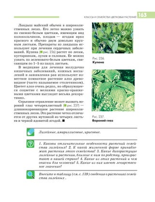 КЛАССЫ И СЕМЕЙСТВА ЦВЕТКОВЫХ РАСТЕНИЙ 163
Ландыш майский обычен в широколи
ственных лесах. Его легко можно узнать
по снежно белым цветкам, имеющим вид
колокольчиков, плодам — ягодам ярко
красного и обычно двум довольно круп
ным листьям. Препараты из ландыша ис
пользуют при лечении сердечных заболе
ваний. Купена (I рис. 236) растет по лесам,
кустарникам, лугам и склонам. Ее можно
узнать по зеленовато белым цветкам, сви
сающим по 1–5 из пазух листьев.
В медицине для лечения желудочно
кишечных заболеваний, кожных воспа
лений и заживления ран используют из
вестное комнатное растение алоэ древо
видное (часто называемое столетником).
Цветет алоэ очень редко, но образующее
ся соцветие с мелкими красно оранже
выми цветками выглядят весьма декора
тивно.
Серьезное отравление может вызвать во
роний глаз четырехлистный (I рис. 237) —
длиннокорневищное растение широколи
ственных лесов. Это растение четко отлича
ется от других мутовкой из четырех листь
ев и черной ядовитой ягодой. I
Лилейные, амариллисовые, ирисовые.
1. Каковы отличительные особенности растений семей
ства лилейных? 2. К какой жизненной форме принадле
жат растения этого семейства? 3. Какие дикорастущие
лилейные и растения, близкие к ним по родству, произрас
тают в нашей стране? 4. Какие из этих растений и чем
опасны для человека? 5. Какие из них имеют лекарствен
ное значение?
Внесите в таблицу (см. с. 139) сведения о растениях семей
ства лилейных .
Рис. 236.
Купена
Рис. 237.
Вороний глаз
 