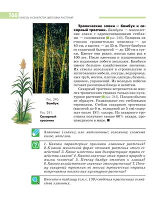 КЛАССЫ И СЕМЕЙСТВА ЦВЕТКОВЫХ РАСТЕНИЙ
166
Тропические злаки — бамбук и са
харный тростник. Бамбуки — многолет
ние злаки с одревесневающими стебля
ми — соломинами (I рис. 240). Толщина их
стволов сравнительно невелика — до
40 см, а высота — до 35 м. Растут бамбуки
со сказочной быстротой — до 120 см в сут
ки. Цветут они редко, иногда один раз в
100 лет. После цветения и плодоношения
все надземные побеги засыхают. Бамбуки
имеют большое хозяйственное значение.
Их стволы используют в строительстве и
изготовлении мебели, посуды, водопровод
ных труб, мостов, плотов, одежды, бумаги,
циновок, украшений. Из молодых побегов
готовят различные блюда и напитки.
Сахарный тростник встречается во мно
гих тропических странах только как куль
турное растение (I рис. 241). Плодов обычно
не образует. Размножают его стеблевыми
черенками. Стебли сахарного тростника
(высотой до 6 м, толщиной до 5 см) содер
жат около 18% сахара. Из сахарного тро
стника получают свыше 60% сахара, про
изводимого в мире. I
Злаковые (злаки), или мятликовые; соломина; сложный
колос, метелка.
1. Каковы характерные признаки злаковых растений?
2. К какой жизненной форме относят растения этого се
мейства? 3. Какие известны вам дикорастущие травы се
мейства злаков? 4. Каково значение этих трав в природе и
жизни человека? 5. Почему бамбук относят к злакам?
6. Каково хозяйственное значение этого растения? 7. Поче
му сахарный тростник во многих тропических странах
встречается только как культурное растение?
Внесите в таблицу (см. с. 139) сведения о растениях семей
ства злаковых.
Рис. 240.
Бамбук
Рис. 241.
Сахарный
тростник
 
