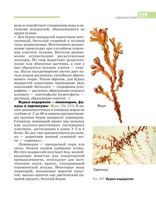 ОТДЕЛЫ РАСТЕНИЙ
179
волн и способствует сохранению воды в ор
ганизме водорослей, обнажающихся во
время отлива.
* Для бурых водорослей характерны веге
тативный, бесполый споровый и половой
типы размножения. Вегетативное размно
жение происходит при случайном отделе
нии участков таллома. Бесполое размно
жение осуществляют двужгутиковые
зооспоры. Из спор вырастают раздельно
полые или обоеполые растения, а уже у
них образуются половые клетки — гаме
ты. После оплодотворения зигота дает на
чало новым растениям, способным образо
вывать споры. Таким образом, для бурых
водорослей характерно чередование двух
поколений: бесполого — спорофита (спо
рофиты — растения, образующие споры) и
полового — гаметофита (гаметофиты —
растения, образующие гаметы). )
Бурые водоросли — ламинарии, фу
кусы и саргассумы (I рис. 256, 257). В на
ших дальневосточных и северных морях на
глубине от 2 до 40 м широко распростране
ны крупные бурые водоросли ламинарии.
Слоевища ламинарий имеют вид цельных
или пальчато рассеченных листовидных
пластинок, достигающих в длину 1–5 м и
более. Ко дну они прикрепляются ризоида
ми — выростами нижней суженной час
ти — «черешка».
Ламинарии — прекрасный корм для
скота, богатое калием удобрение почвы.
Из этих водорослей получают йод, желеоб
разующие вещества для кондитерской
промышленности, используют для изго
товления лаков, красок, глазурованной
керамической посуды. Некоторые виды
ламинарий, называемые морской капус
той, высоко ценятся как диетический пи
щевой продукт, богатый йодом.
Саргассум
Фукус
Рис. 257. Бурые водоросли
 