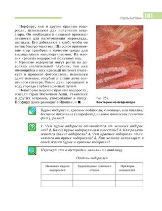 ОТДЕЛЫ РАСТЕНИЙ
181
Порфиру, как и другие красные водо
росли, используют для получения агар
агара. Он необходим в пищевой промыш
ленности для изготовления мармелада,
пастилы. Его добавляют в хлеб, чтобы он
не так быстро черствел. Широкое примене
ние агар приобрел в качестве среды для
выращивания микроорганизмов. Из мно
гих красных водорослей получают иод.
* Красные водоросли могут расти на до
вольно значительной глубине, так как
имеющийся у них красный пигмент участ
вует в процессе фотосинтеза, используя
даже зеленые, голубые и синие лучи сол
нечного спектра. Такие лучи проникают в
воду гораздо глубже красных лучей.
Некоторые морские красные водоросли,
жители стран Восточной Азии, Гавайских
и других островов, употребляют в пищу.
Порфиру даже разводят в Японии.) I
Бурые водоросли, красные водоросли; слоевище, или таллом;
бесполое поколение (спорофит), половое поколение (гамето
фит); ризоид.
1. Чем бурые водоросли отличаются от зеленых водорос
лей? 2. Какие бурые водоросли вам известны? 3. Как размно
жаются такие водоросли? 4. Чем красные водоросли отли
чаются от бурых водорослей? 5. Как человек использует в
своей жизни бурые и красные водоросли?
Перечертите в тетрадь и заполните таблицу.
Отделы водорослей
Названия отдела Характерные признаки Примеры
водорослей отдела водорослей
Рис. 259.
Бактерии на агар агаре
 