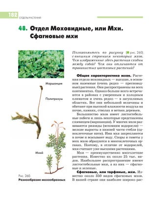 Познакомьтесь по рисунку (I рис. 260)
с внешним строением некоторых мхов.
Чем изображенные здесь растения сходны
между собой? Чем они отличаются от
травянистых цветковых растений?
Общая характеристика мхов. Расте
ния отдела моховидных — высшие, в основ
ном наземные (очень редко — пресновод
ные) растения. Они распространены на всех
континентах. Однако больше всего встреча
ются в районах с умеренным и холодным
климатом и очень редко — в засушливых
областях. Все они небольшой величины и
обитают при высокой влажности воздуха на
почве, камнях, стволах и ветвях деревьев.
Большинство мхов имеет листостебель
ные побеги и лишь некоторые представлены
слоевищем (маршанция). У многих мхов раз
виваются ризоиды (вспомним водоросли) —
мелкие выросты в нижней части стебля (од
ноклеточные нити). Ими мхи закрепляются
в почве и всасывают воду. Споры и гаметы у
всех мхов образуются в многоклеточных ор
ганах. Поэтому, в отличие от водорослей,
мхи считают уже высшими растениями.
Мхи — преимущественно многолетние
растения. Известно их около 25 тыс. ви
дов. Наибольшее распространение имеют
листостебельные мхи, а из них — сфагно
вые и зеленые.
Сфагновые, или торфяные, мхи. Из
вестно около 350 видов сфагновых мхов.
В нашей стране они наиболее широко рас
ОТДЕЛЫ РАСТЕНИЙ
182
48. Отдел Моховидные, или Мхи.
Сфагновые мхи
Рис. 260.
Разнообразие мохообразных
Мний
Политрихум
Маршанция
 