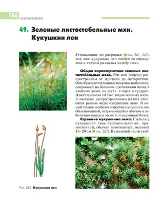 Установите по рисункам (I рис. 261, 267),
чем мох кукушкин лен сходен со сфагну
мом и каковы различия между ними.
Общая характеристика зеленых лис
тостебельных мхов. Эти мхи широко рас
пространены от Арктики до Антарктики.
Ониобразуютсплошныепокровынаболотах,
покрывают на большом протяжении почву в
хвойных лесах, на лугах, в горах и тундрах.
Известно около 14 тыс. видов зеленых мхов.
К наиболее распространенным из них отно
сятся разные виды кукушкина льна. В на
шей стране наиболее известен кукушкин лен
обыкновенный, встречающийся обычно в за
болачивающихся лесах и по окраинам болот.
Строение кукушкина льна. Стебель у
кукушкина льна буровато зеленый, пря
мостоячий, обычно неветвистый, высотой
15–20 см (I рис. 267). На нижней части стеб
ОТДЕЛЫ РАСТЕНИЙ
186
Рис. 267. Кукушкин лен
49. Зеленые листостебельные мхи.
Кукушкин лен
 