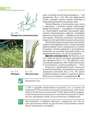 Кукушкин лен.
1. Где в природе встречается кукушкин лен и каково его
строение? 2. Чем половое поколение у кукушкина льна отли
чается от бесполого поколения? 3. Как происходит у кукуш
кина льна развитие бесполого и полового поколений? 4. Поче
му мхи, растущие в воде, нельзя отнести к водорослям?
Рассмотрите в гербарии сфагнум и кукушкин лен. По ка
ким признакам можно их различить? Результаты наблю
дений напишите в тетради.
ОТДЕЛЫ РАСТЕНИЙ
188
нить, похожая на нитчатую водоросль — это
предросток (I рис. 270). На нем образуются
почки, дающие начало новым мужским и
женским растениям кукушкина льна.
Таким образом, у кукушкина льна, как и
у сфагнума, в течение жизни происходит
смена поколений — спорофита и гаметофи
та. Гаметофит (половое поколение) пред
ставлен облиственным побегом. Спорофит
(бесполое поколение) — коробочка на длин
ной ножке. Растения бесполого поколения
живут за счет растений полового поколения.
Плотный покров кукушкина льна задер
живает атмосферную влагу, может вызвать
заболачивание леса и затруднять его возоб
новление: семена деревьев и кустарников,
попавшие на плотный моховой покров, за
крывающий почву, не могут прорастать.
Другие зеленые мхи. На болотах, в ле
сах, чаще на местах кострищ произрастает
мох фунария (I рис. 271). Он образует свет
ло зеленые дернинки. Его стебли достигают
1–3 см высоты, а ножка коробочки — 8 см.
В ручьях с проточной водой, а иногда и
в стоячих водоемах, встречается мох обык
новенный ручьевой (I рис. 272). Он имеет
слабоветвящиеся побеги, длиной до 50 см.
Иногда его содержат в аквариумах. I
Рис. 270.
Предросток кукушкина льна
Рис. 271.
Фунария
Рис. 272.
Мох ручьевой
 