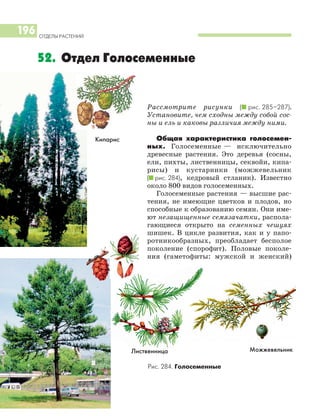 Рассмотрите рисунки (I рис. 285–287).
Установите, чем сходны между собой сос
ны и ель и каковы различия между ними.
Общая характеристика голосемен
ных. Голосеменные — исключительно
древесные растения. Это деревья (сосны,
ели, пихты, лиственницы, секвойи, кипа
рисы) и кустарники (можжевельник
(I рис. 284), кедровый стланик). Известно
около 800 видов голосеменных.
Голосеменные растения — высшие рас
тения, не имеющие цветков и плодов, но
способные к образованию семян. Они име
ют незащищенные семязачатки, распола
гающиеся открыто на семенных чешуях
шишек. В цикле развития, как и у папо
ротникообразных, преобладает бесполое
поколение (спорофит). Половые поколе
ния (гаметофиты: мужской и женский)
ОТДЕЛЫ РАСТЕНИЙ
196
52. Отдел Голосеменные
Кипарис
Можжевельник
Рис. 284. Голосеменные
Лиственница
 