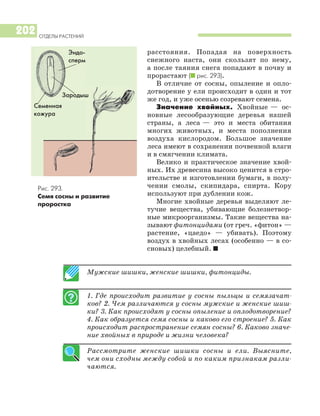 Мужские шишки, женские шишки, фитонциды.
1. Где происходит развитие у сосны пыльцы и семязачат
ков? 2. Чем различаются у сосны мужские и женские шиш
ки? 3. Как происходят у сосны опыление и оплодотворение?
4. Как образуется семя сосны и каково его строение? 5. Как
происходит распространение семян сосны? 6. Каково значе
ние хвойных в природе и жизни человека?
Рассмотрите женские шишки сосны и ели. Выясните,
чем они сходны между собой и по каким признакам разли
чаются.
ОТДЕЛЫ РАСТЕНИЙ
202
расстояния. Попадая на поверхность
снежного наста, они скользят по нему,
а после таяния снега попадают в почву и
прорастают (I рис. 293).
В отличие от сосны, опыление и опло
дотворение у ели происходит в один и тот
же год, и уже осенью созревают семена.
Значение хвойных. Хвойные — ос
новные лесообразующие деревья нашей
страны, а леса — это и места обитания
многих животных, и места пополнения
воздуха кислородом. Большое значение
леса имеют в сохранении почвенной влаги
и в смягчении климата.
Велико и практическое значение хвой
ных. Их древесина высоко ценится в стро
ительстве и изготовлении бумаги, в полу
чении смолы, скипидара, спирта. Кору
используют при дублении кож.
Многие хвойные деревья выделяют ле
тучие вещества, убивающие болезнетвор
ные микроорганизмы. Такие вещества на
зывают фитонцидами (от греч. «фитон» —
растение, «цаедо» — убивать). Поэтому
воздух в хвойных лесах (особенно — в со
сновых) целебный. I
Рис. 293.
Семя сосны и развитие
проростка
Семенная
кожура
Зародыш
Эндо
сперм
 
