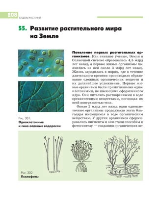 Появление первых растительных ор
ганизмов. Как считают ученые, Земля в
Солнечной системе образовалась 4,5 млрд
лет назад, а первые живые организмы по
явились на ней около 3 млрд лет назад.
Жизнь зародилась в морях, где в течение
длительного времени происходило образо
вание сложных органических веществ и
их дальнейшее усложнение. Первые жи
вые организмы были примитивными одно
клеточными, не имеющими оформленного
ядра. Они питались растворенными в воде
органическими веществами, поглощая их
всей поверхностью тела.
Около 2 млрд лет назад одни однокле
точные организмы продолжали жить бла
годаря имеющимся в воде органическим
веществам. У других организмов сформи
ровались пигменты и они стали способны к
фотосинтезу — созданию органических ве
ОТДЕЛЫ РАСТЕНИЙ
208
55. Развитие растительного мира
на Земле
Рис. 302.
Псилофиты
Рис. 301.
Одноклеточные
и сине зеленые водоросли
 