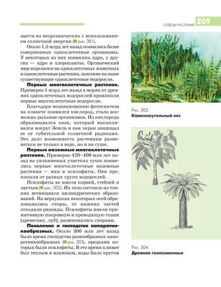 ОТДЕЛЫ РАСТЕНИЙ
209
ществ из неорганических с использовани
ем солнечной энергии (I рис. 301).
Около 1,5 млрд лет назад появились более
совершенные одноклеточные организмы.
У некоторых из них появилось ядро, у дру
гих — ядро и хлоропласты. Органический
мир поделился на одноклеточных животных
иодноклеточныерастения,похожиенаныне
существующие одноклеточные водоросли.
Первые многоклеточные растения.
Примерно 1 млрд лет назад в морях от древ
них одноклеточных водорослей произошли
первые многоклеточные водоросли.
Благодаря возникновению фотосинтеза
на планете появился кислород, стало воз
можно дыхание организмов. Из кислорода
образовывался озон, который накапли
вался вокруг Земли и как экран защищал
ее от губительной солнечной радиации.
Это дало возможность растениям разви
ваться не только в воде, но и на суше.
Первые наземные многоклеточные
растения. Примерно 420–400 млн лет на
зад на увлажненых участках суши появи
лись первые многоклеточные наземные
растения — мхи и псилофиты. Они про
изошли от разных групп водорослей.
Псилофиты не имели корней, стеблей и
листьев (I рис. 302). Их тело состояло из тон
ких ветвящихся цилиндрических образо
ваний. На верхушках некоторых осей обра
зовывались споры, от нижних частей
отходили ризоиды. Псилофиты имели при
митивную покровную и проводящую ткани
(древесину, луб), размножались спорами.
Появление и господство папоротни
кообразных. Около 300 млн лет назад
было время господства разнообразных папо
ротникообразных (I рис. 303), предками ко
торых были псилофиты. В это время климат
был теплым и влажным, воды было кругом
Рис. 304.
Древние голосеменные
Рис. 303.
Каменноугольный лес
 