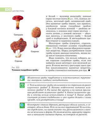 ЦАРСТВО ГРИБЫ
230
и белый — мухомор вонючий), ложные
серно желтые опята (I рис. 332), ложная ли
сичка, желчный гриб, сатанинский гриб.
Эти ядовитые грибы имеют, как правило,
двойников среди съедобных грибов:
у бледной поганки зеленой — двойник зе
ленушка, у ложных опят серно желтых —
опята летние, у ложной лисички — обыч
ная лисичка, у желчного гриба — белый
гриб и подберезовик. К несъедобным гри
бам относят и сыроежку едкую.
Некоторые грибы (сморчки, строчки,
свинушки) считают условно съедобными
(I рис. 333). В них иногда образуются ядови
тые вещества. Перед употреблением такие
грибы нужно дважды кипятить, меняя во
ду после каждого кипячения.
Надо помнить, что нельзя собирать да
же хорошие съедобные грибы, если они
найдены возле автотрасс или железной до
роги. В таких местах у растущих здесь гри
бов накапливаются ядовитые вещества,
и грибы становятся опасными для еды. I
Шляпочные грибы: трубчатые и пластинчатые; трутови
ки; микориза, симбиоз; антибиотики.
1. Чем шляпочные грибы отличаются по строению от ранее
изученных грибов? 2. Каковы особенности питания шля
почных грибов? 3. На какие две группы и по каким призна
кам разделяют шляпочные грибы? 4. Какие шляпочные гри
бы и почему нельзя использовать в пищу? 5. Какие грибы
считают условно съедобными и что нужно делать с ними
прежде, чем употреблять в пищу?
Осмотрите стволы деревьев, растущих вблизи школы, в ле
сопарке, вблизи дома. Нет ли на них трутовиков? Если есть,
то определите, на какой высоте они располагаются и како
вы их величина и форма. По возможности зарисуйте труто
вик и напишите название дерева, на котором он растет.
Рис. 333.
Условно съедобные грибы
Сморчок
Свинушка
Строчок
 