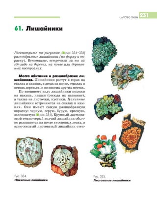 ЦАРСТВО ГРИБЫ 231
Рассмотрите на рисунках (I рис. 334–336)
разнообразные лишайники (их форму и ок
раску). Вспомните, встречали ли вы их
где либо на деревьх, на почве или деревян
ных постройках.
Места обитания и разнообразие ли
шайников. Лишайники растут в горах на
скалах и камнях, в лесах на почве, стволах и
ветвях деревьев, и во многих других местах.
По внешнему виду лишайники похожи
на накипь, лишаи (отсюда их название),
а также на листочки, кустики. Накипные
лишайники встречаются на скалах и кам
нях. Они имеют самую разнообразную
окраску: черную, серую, бурую, красную,
зеленоватую (I рис. 334). Крупный листова
тый темно серый волчий лишайник обыч
но развивается на почве в сосновых лесах, а
ярко желтый листоватый лишайник стен
61. Лишайники
Рис. 334.
Накипные лишйники
Рис. 335.
Листоватые лишайники
 