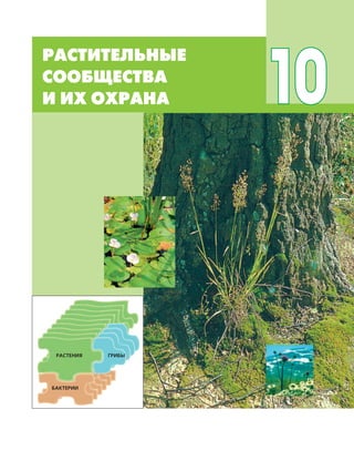 РАСТИТЕЛЬНЫЕ СООБЩЕСТВА И ИХ ОХРАНА 235
РАСТИТЕЛЬНЫЕ
СООБЩЕСТВА
И ИХ ОХРАНА 10
ГРИБЫРАСТЕНИЯ
БАКТЕРИИ
 