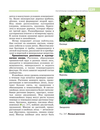 РАСТИТЕЛЬНЫЕ СООБЩЕСТВА И ИХ ОХРАНА 239
Кислица
Воронец
Звездчатка
Рис. 347. Лесные растения
дятся в наилучших условиях освещеннос
ти. Более низкорослые деревья (рябина,
яблоня, клен) формируют второй ярус.
Под ними расположены кустарники
(лещина, жимолость, крушина, береск
лет) и молодые деревья, которые образу
ют третий ярус. Разнообразные травы и
кустарнички относят к четвертому ярусу.
В пятом (самом нижнем) ярусе располо
жены мхи и лишайники.
Почву покрывает лесная подстилка.
Она состоит из опавших листьев, отмер
ших побегов и сухих веток. Многочислен
ные бактерии и грибы, содержащиеся в
лесной подстилке, разлагают ее и преобра
зуют в перегной и минеральные вещества.
Травянистые растения и кустар
нички лесов. Растения, образующие
травянистый ярус в разных типах леса,
находятся в неодинаковых условиях ос
вещенности, минерального и водного
обеспечения, а также температурного
фактора. От этого зависит видовой состав
сообщества.
В хвойных лесах уровень освещенности
в течение года остается примерно одина
ковым. Растения нижнего яруса, произ
растающие в светлохвойных лесах, полу
чают больше света, по сравнению с
обитающими в темнохвойных. В светло
хвойных лесах поселяются более светолю
бивые растения (вереск, прострел, коша
чья лапка двудомная). Под кронами
темнохвойных пород могут расти только
теневые и теневыносливые растения (чер
ника, брусника, воронец, кислица обык
новенная (I рис. 347), майник двулистный,
грушанки). Многие из растений, произ
растающие в хвойных лесах — вечнозеле
ные (брусника, грушанка, линнея север
ная). Иногда хвойные леса могут быть
 