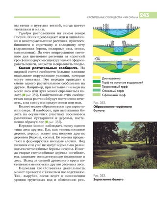Дно водоема
Торф из остатков водорослей
Тросниковый торф
Осоковый торф
Сфагновый торф
РАСТИТЕЛЬНЫЕ СООБЩЕСТВА И ИХ ОХРАНА 243
вы степи и пустыни весной, когда цветут
тюльпаны и маки.
Тундры расположены на самом севере
России. В них преобладают мхи и лишайни
ки и некоторые высшие растения, приспосо
бившиеся к короткому и холодному лету
(карликовая береза, полярные ивы, осоки,
камнеломки). За счет непрерывного свето
вого дня цветковые растения за короткий
срок (около двух месяцев) успевают сформи
ровать побеги, зацвести и образовать плоды.
Смена растительных сообществ. На
видовой состав сообществ большое влияние
оказывают окружающие условия, которые
могут меняться. Это нередко приводит к
смене одного растительного сообщества на
другое. Например, при застаивании воды на
месте леса или луга может образоваться бо
лото (I рис. 352). Свойственные этим сообще
ствам виды растений будут постепенно исче
зать, а на смену им придут осоки или мхи.
Болото может образоваться при зараста
нии озера. И наоборот, при высыхании бо
лота на осушенных участках поселяются
различные кустарники и деревья, посте
пенно образуя лес (I рис. 353).
Нередко можно наблюдать смену одного
типа леса другим. Ель как теневыносливое
дерево, хорошо живет под пологом других
деревьев (березы, сосны). Ее семена прорас
тают и формируются молодые елочки. Под
пологом ели уже не могут нормально разви
ваться светолюбивые березы и сосны. И ког
да старые светолюбивые деревья погибают,
ель занимает господствующее положение в
лесу. Вслед за сменой древесного яруса по
степенно сменяются и другие растения леса.
Неумелая хозяйственная деятельность
может привести к тяжелым последствиям.
Так, вырубка лесов ведет к понижению
уровня грунтовых вод и обмелению рек.
Рис. 352.
Образование торфяного
болота
Рис. 353.
Зарастание болота
 
