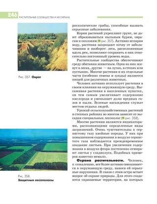 РАСТИТЕЛЬНЫЕ СООБЩЕСТВА И ИХ ОХРАНА
246
роскопические грибы, способные вызвать
серьезные заболевания.
Корни растений укрепляют грунт, не да
ют образовываться пыльным бурям, овра
гам и оползням (I рис. 357). Активно испаряя
воду, растения защищают почву от забола
чивания и наоборот: леса, расположенные
вдоль рек, позволяют сохранить в них отно
сительно постоянный уровень воды.
Растительные сообщества обеспечивают
среду обитания животным. Одни из них жи
вут в лесах, другие — на лугах, в степях или
пустынях. Многие растения и их отдельные
части (особенно семена и плоды) являются
пищей для различных животных.
Человек активно использует растения в
своем влиянии на окружающую среду. Вы
саживая растения в населенных пунктах,
он тем самым увеличивает содержание
кислорода и уменьшает долю вредных га
зов и пыли. Зеленые насаждения служат
местом отдыха людей.
Урожай сельскохозяйственных растений
в степных районах во многом зависит от вы
садки специальных лесополос (I рис. 358).
Многие растения являются индикатора
ми, распознающими определенные виды
загрязнений. Очень чувствительны к сер
нистому газу хвойные породы. У них при
повышенном содержании в воздухе сернис
того газа наблюдается преждевременное
опадание листьев. При увеличении содер
жания в воздухе фтора постепенно отмира
ют листья у гладиолуса. Подобных приме
ров известно немало.
Охрана растительности. Человек,
к сожалению, все более активно вмешивает
ся в окружающую среду, нанося ей серьез
ные нарушения. В связи с этим остро встает
вопрос об охране природы. Для этого созда
ются охраняемые территории, на которых
Рис. 357. Овраг
Рис. 358.
Защитные лесополосы
 