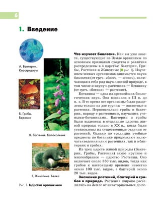 Что изучает биология. Как вы уже знае
те, существующие на Земле организмы по
основным признакам сходства и различия
распределены в 4 царства: Бактерии, Гри
бы, Растения и Животные (I рис. 1). Изуче
нием живых организмов занимается наука
биология (от греч. «биос» — жизнь), вклю
чающая в себя ряд наук о живой природе, в
том числе и науку о растениях — ботанику
(от греч. «ботанэ» — растение).
Ботаника — одна из древнейших биоло
гических наук. Она возникла в III в. до
н. э. В то время все организмы были разде
лены только на две группы — животные и
растения. Первоначально грибы и бакте
рии, наряду с растениями, изучались уче
ными ботаниками. Бактерии и грибы
были выделены в отдельные царства жи
вой природы только в ХХ в., когда были
установлены их существенные отличия от
растений. Однако по традиции учебные
предметы по ботанике продолжают вклю
чать сведения как о растениях, так и о бак
териях и грибах.
Из трех царств живой природы (Бакте
рии, Грибы, Растения) самое крупное и
многообразное — царство Растения. Оно
включает около 350 тыс. видов, тогда как
грибов к настоящему времени известно
около 100 тыс. видов, а бактерий около
20 тыс. видов.
Значение растений, бактерий и гри
бов в природе. Растения широко рассе
лились на Земле от экваториальных до по
6
1. Введение
А. Бактерии.
Клостридиум
Б. Грибы.
Боровик
Г. Животные. Белка
В. Растения. Колокольчик
Рис. 1. Царства организмов
 