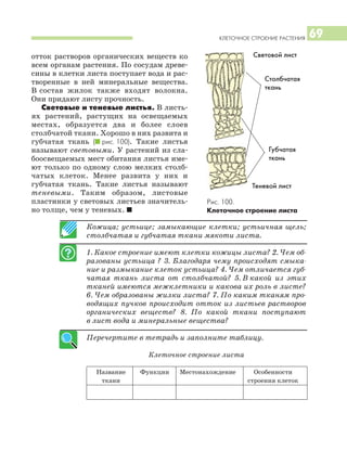 КЛЕТОЧНОЕ СТРОЕНИЕ РАСТЕНИЯ 69
Кожица; устьице; замыкающие клетки; устьичная щель;
столбчатая и губчатая ткани мякоти листа.
1. Какое строение имеют клетки кожицы листа? 2. Чем об
разованы устьица ? 3. Благодаря чему происходят смыка
ние и размыкание клеток устьица? 4. Чем отличается губ
чатая ткань листа от столбчатой? 5. В какой из этих
тканей имеются межклетники и какова их роль в листе?
6. Чем образованы жилки листа? 7. По каким тканям про
водящих пучков происходит отток из листьев растворов
органических веществ? 8. По какой ткани поступают
в лист вода и минеральные вещества?
Перечертите в тетрадь и заполните таблицу.
Клеточное строение листа
Название Функции Местонахождение Особенности
ткани строения клеток
отток растворов органических веществ ко
всем органам растения. По сосудам древе
сины в клетки листа поступает вода и рас
творенные в ней минеральные вещества.
В состав жилок также входят волокна.
Они придают листу прочность.
Световые и теневые листья. В листь
ях растений, растущих на освещаемых
местах, образуется два и более слоев
столбчатой ткани. Хорошо в них развита и
губчатая ткань (I рис. 100). Такие листья
называют световыми. У растений из сла
боосвещаемых мест обитания листья име
ют только по одному слою мелких столб
чатых клеток. Менее развита у них и
губчатая ткань. Такие листья называют
теневыми. Таким образом, листовые
пластинки у световых листьев значитель
но толще, чем у теневых. I
Рис. 100.
Клеточное строение листа
Световой лист
Теневой лист
Столбчатая
ткань
Губчатая
ткань
 