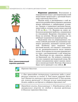 ЖИЗНЕДЕЯТЕЛЬНОСТЬ, РОСТ И РАЗВИТИЕ ЦВЕТКОВЫХ РАСТЕНИЙ
78
Корневое давление. Всасывание и
передвижение воды с растворенными в ней
веществами происходит у растений благо
даря корневому давлению.
Подъем воды и растворенных в ней ве
ществ под воздействием корневого давления
можно наблюдать в лабораторных услови
ях. Срежем у комнатного растения бальза
мина стебель, оставив только пенек высотой
5–10 см (I рис. 110). Наденем на пенек не
большую резиновую трубочку, соединенную
со стеклянной. Закрепим стеклянную тру
бочку на штативе. Вскоре заметим, как по
ней будет подниматься водный раствор.
Выделение сока из поврежденных уча
стков стеблей растений под влиянием кор
невого давления, называют плачем расте
ний. Особенно ярко выражен плач
растений весной, что связано с повышени
ем их жизнедеятельности после зимнего
покоя. В это время по сосудам передвигает
ся вода с растворенными в ней вещества
ми. Некоторые из вас, вероятно, пробова
ли березовый сок. Он немного сладковат,
так как содержит растворенный сахар. Ве
сеннее сокодвижение имеет важное значе
ние в жизни растений. Поэтому сбор сока у
берез часто приводит к их гибели. I
Корневое давление.
1. Как происходит поступление в растение воды и мине
ральных веществ из почвы? 2. Что такое корневое давле
ние? Каково его значение в жизни растения? 3. Что называ
ют плачем растений? 4. Почему нельзя самостоятельно
делать надрезы на березах и собирать березовый сок?
Проведите опыты, доказывающие: 1. Передвижение воды и
минеральных веществ по стеблю и жилкам растения;
2. Наличие корневого давления.
Рис. 110.
Опыт, демонстрирующий
корневое давление
 