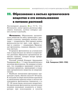 ЖИЗНЕДЕЯТЕЛЬНОСТЬ, РОСТ И РАЗВИТИЕ ЦВЕТКОВЫХ РАСТЕНИЙ 79
Рассмотрите рисунки (I рис. 94–96, 101).
Вспомните, какие органы растения обра
зованы тканями, клетки которых име
ют зеленые пластиды.
Фотосинтез. Образование органиче
ского вещества на свету происходит у рас
тений в клетках, имеющих зеленые плас
тиды — хлоропласты. Этот процесс назван
фотосинтезом (от греч. слов «фотос» —
свет и «синтез» — соединение). Происхо
дит фотосинтез, главным образом, в зеле
ных листьях.
В процессе фотосинтеза из углекислого
газа и воды (только на свету) в хлороплас
тах растения образуется органическое ве
щество глюкоза, которая вскоре превра
щается в крахмал.
Русский ученый Климент Аркадьевич
Тимирязев (I рис. 111) внес большой вклад в
изучение фотосинтеза. Он впервые устано
вил, что хлорофилл принимает участие в
сложных процессах, приводящих к созда
нию органического вещества из неоргани
ческих.
* Наиболее интенсивно фотосинтез про
исходит утром, обычно около 9–10 часов.
К полудню по мере накопления крахмала
и уменьшения притока воды в листья ин
тенсивность фотосинтеза снижается, а к
17–18 часам вновь несколько возрастает.
На протекание фотосинтеза значительное
влияние оказывают влажность и темпе
ратура: при похолодании и сухости
22. Образование в листьях органического
вещества и его использование
в питании растений
Рис. 111.
К.А. Тимирязев (1843–1920)
 