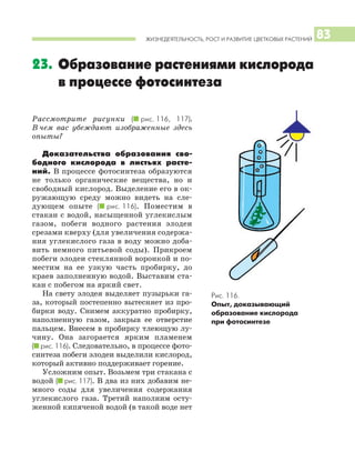 ЖИЗНЕДЕЯТЕЛЬНОСТЬ, РОСТ И РАЗВИТИЕ ЦВЕТКОВЫХ РАСТЕНИЙ 83
23. Образование растениями кислорода
в процессе фотосинтеза
Рассмотрите рисунки (I рис. 116, 117).
В чем вас убеждают изображенные здесь
опыты?
Доказательства образования сво
бодного кислорода в листьях расте
ний. В процессе фотосинтеза образуются
не только органические вещества, но и
свободный кислород. Выделение его в ок
ружающую среду можно видеть на сле
дующем опыте (I рис. 116). Поместим в
стакан с водой, насыщенной углекислым
газом, побеги водного растения элодеи
срезами кверху (для увеличения содержа
ния углекислого газа в воду можно доба
вить немного питьевой соды). Прикроем
побеги элодеи стеклянной воронкой и по
местим на ее узкую часть пробирку, до
краев заполненную водой. Выставим ста
кан с побегом на яркий свет.
На свету элодея выделяет пузырьки га
за, который постепенно вытесняет из про
бирки воду. Снимем аккуратно пробирку,
наполненную газом, закрыв ее отверстие
пальцем. Внесем в пробирку тлеющую лу
чину. Она загорается ярким пламенем
(I рис. 116). Следовательно, в процессе фото
синтеза побеги элодеи выделили кислород,
который активно поддерживает горение.
Усложним опыт. Возьмем три стакана с
водой (I рис. 117). В два из них добавим не
много соды для увеличения содержания
углекислого газа. Третий наполним осту
женной кипяченой водой (в такой воде нет
Рис. 116.
Опыт, доказывающий
образование кислорода
при фотосинтезе
 