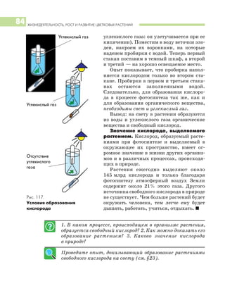 ЖИЗНЕДЕЯТЕЛЬНОСТЬ, РОСТ И РАЗВИТИЕ ЦВЕТКОВЫХ РАСТЕНИЙ
84
углекислого газа: он улетучивается при ее
кипячении). Поместим в воду веточки эло
деи, накроем их воронками, на которые
наденем пробирки с водой. Теперь первый
стакан поставим в темный шкаф, а второй
и третий — на хорошо освещаемое место.
Опыт показывает, что пробирка напол
няется кислородом только во втором ста
кане. Пробирки в первом и третьем стака
нах остаются заполненными водой.
Следовательно, для образования кислоро
да в процессе фотосинтеза так же, как и
для образования органического вещества,
необходимы свет и углекислый газ.
Вывод: на свету в растении образуются
из воды и углекислого газа органические
вещества и свободный кислород.
Значение кислорода, выделяемого
растением. Кислород, образуемый расте
ниями при фотосинтезе и выделяемый в
окружающее их пространство, имеет ог
ромное значение в жизни других организ
мов и в различных процессах, происходя
щих в природе.
Растения ежегодно выделяют около
145 млрд кислорода и только благодаря
фотосинтезу атмосферный воздух Земли
содержит около 21% этого газа. Другого
источника свободного кислорода в природе
не существует. Чем больше растений будет
окружать человека, тем легче ему будет
дышать, работать, учиться, отдыхать. I
1. В каком процессе, происходящем в организме растения,
образуется свободный кислород? 2. Как можно доказать его
образование растением? 3. Каково значение кислорода
в природе?
Проведите опыт, доказывающий образование растениями
свободного кислорода на свету (см. §23).
Рис. 117.
Условия образования
кислорода
Углекислый газ
Углекислый газ
Отсутствие
углекислого
газа
 