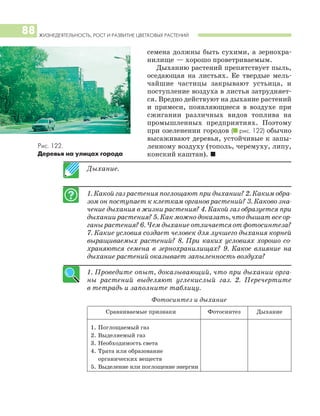 ЖИЗНЕДЕЯТЕЛЬНОСТЬ, РОСТ И РАЗВИТИЕ ЦВЕТКОВЫХ РАСТЕНИЙ
88
семена должны быть сухими, а зернохра
нилище — хорошо проветриваемым.
Дыханию растений препятствует пыль,
оседающая на листьях. Ее твердые мель
чайшие частицы закрывают устьица, и
поступление воздуха в листья затрудняет
ся. Вредно действуют на дыхание растений
и примеси, появляющиеся в воздухе при
сжигании различных видов топлива на
промышленных предприятиях. Поэтому
при озеленении городов (I рис. 122) обычно
высаживают деревья, устойчивые к запы
ленному воздуху (тополь, черемуху, липу,
конский каштан). I
Дыхание.
1. Какой газ растения поглощают при дыхании? 2. Каким обра
зом он поступает к клеткам органов растений? 3. Каково зна
чение дыхания в жизни растения? 4. Какой газ образуется при
дыхании растения? 5. Как можно доказать, что дышат все ор
ганы растения? 6. Чем дыхание отличается от фотосинтеза?
7. Какие условия создает человек для лучшего дыхания корней
выращиваемых растений? 8. При каких условиях хорошо со
храняются семена в зернохранилищах? 9. Какое влияние на
дыхание растений оказывает запыленность воздуха?
1. Проведите опыт, доказывающий, что при дыхании орга
ны растений выделяют углекислый газ. 2. Перечертите
в тетрадь и заполните таблицу.
Фотосинтез и дыхание
Сравниваемые признаки Фотосинтез Дыхание
1. Поглощаемый газ
2. Выделяемый газ
3. Необходимость света
4. Трата или образование
органических веществ
5. Выделение или поглощение энергии
Рис. 122.
Деревья на улицах города
 