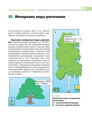 ЖИЗНЕДЕЯТЕЛЬНОСТЬ, РОСТ И РАЗВИТИЕ ЦВЕТКОВЫХ РАСТЕНИЙ 89
Рассмотрите рисунок (I рис. 125). Выска
жите предположение, почему вода в про
бирках находится на разных уровнях.
Значение испарения воды растени
ем. Растительный организм на 70–95%
состоит из воды. Все его жизненно важные
процессы происходят при ее участии. Кор
ни растений в теплое время года постоянно
поглощают из почвы воду, а вместе с ней
необходимые минеральные вещества. Од
новременно происходит испарение воды
листьями (I рис. 123). Растение при этом
удаляет из организма излишнюю воду и
таким образом освобождает место для пос
тупления с помощью всасывания корнями
воды с растворенными в ней минеральны
ми веществами. Кроме того, испаряясь, во
да защищает листья от перегрева солнеч
ными лучами.
25. Испарение воды растением
Капуста,
подсолнечник – 1 л;
береза – 60 л
Кукуруза – 200 л;
бук – 12000 л
А
Б
Рис. 123.
Количество воды, испаряемое
растениями:
А – за вегетативный период;
Б – за сутки в жаркий период
 