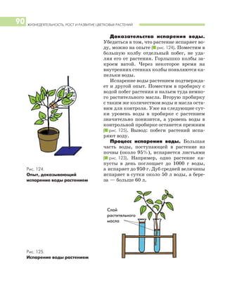 ЖИЗНЕДЕЯТЕЛЬНОСТЬ, РОСТ И РАЗВИТИЕ ЦВЕТКОВЫХ РАСТЕНИЙ
90
Доказательства испарения воды.
Убедиться в том, что растение испаряет во
ду, можно на опыте (I рис. 124). Поместим в
большую колбу отдельный побег, не уда
ляя его от растения. Горлышко колбы за
кроем ватой. Через некоторое время на
внутренних стенках колбы появляются ка
пельки воды.
Испарение воды растением подтвержда
ет и другой опыт. Поместим в пробирку с
водой побег растения и нальем туда немно
го растительного масла. Вторую пробирку
с таким же количеством воды и масла оста
вим для контроля. Уже на следующие сут
ки уровень воды в пробирке с растением
значительно понизится, а уровень воды в
контрольной пробирке останется прежним
(I рис. 125). Вывод: побеги растений испа
ряют воду.
Процесс испарения воды. Большая
часть воды, поступающей в растение из
почвы (около 95%), испаряется листьями
(I рис. 123). Например, одно растение ка
пусты в день поглощает до 1000 г воды,
а испаряет до 950 г. Дуб средней величины
испаряет в сутки около 50 л воды, а бере
за — больше 60 л.
Рис. 125.
Испарение воды растением
Рис. 124.
Опыт, доказывающий
испарение воды растением
Слой
растительного
масла
 