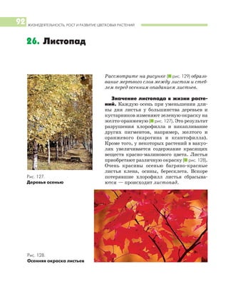 ЖИЗНЕДЕЯТЕЛЬНОСТЬ, РОСТ И РАЗВИТИЕ ЦВЕТКОВЫХ РАСТЕНИЙ
92
Рассмотрите на рисунке (I рис. 129) образо
вание мертвого слоя между листом и стеб
лем перед осенним опаданием листьев.
Значение листопада в жизни расте
ний. Каждую осень при уменьшении дли
ны дня листья у большинства деревьев и
кустарников изменяют зеленую окраску на
желто оранжевую (I рис. 127). Это результат
разрушения хлорофилла и накапливание
других пигментов, например, желтого и
оранжевого (каротина и ксантофилла).
Кроме того, у некоторых растений в вакуо
лях увеличивается содержание красящих
веществ красно малинового цвета. Листья
приобретают различную окраску (I рис. 128).
Очень красивы осенью багряно красные
листья клена, осины, бересклета. Вскоре
потерявшие хлорофилл листья сбрасыва
ются — происходит листопад.
26. Листопад
Рис. 127.
Деревья осенью
Рис. 128.
Осенняя окраска листьев
 