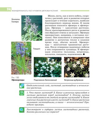 ЖИЗНЕДЕЯТЕЛЬНОСТЬ, РОСТ И РАЗВИТИЕ ЦВЕТКОВЫХ РАСТЕНИЙ
94
Жизнь листа, как и всего побега, скоро
течна у растений, рост и развитие которых
происходит в течение короткого, наиболее
благоприятного периода жизни. К таким
растениям относятся эфемеры и эфемеро
иды. Эфемеры — однолетние растения.
После кратковременного роста и развития
они образуют семена и засыхают. Эфемеры
произрастают, например, в песчаных пус
тынях. Они появляются и завершают свое
развитие в достаточно теплое и влажное
время года, обычно весной. Эфемеро
иды — многолетние травянистые расте
ния. После отмирания надземных побегов
у них сохраняются луковицы. К эфемеро
идам относятся тюльпаны, ветреницы,
хохлатки, гиацинты, подснежники. I
Отделительный слой, листопад, листопадные и вечнозеле
ные растения.
1. Что такое листопад? 2. Какие изменения происходят в
листьях растений перед листопадом? 3. Почему листья
легко отделяются от стеблей во время листопада? 4. Какое
значение для растений имеет листопад? 5. Какие растения
называют листопадными, а какие — вечнозелеными? При
ведите примеры.
Рассмотрите в гербарии листья листопадных растений.
Каковы различия в их окраске?
Рис. 130.
Эфемероиды Ветреница дубравная
Хохлатка
Галлера
Подснежник белоснежный
Гиацинт
 