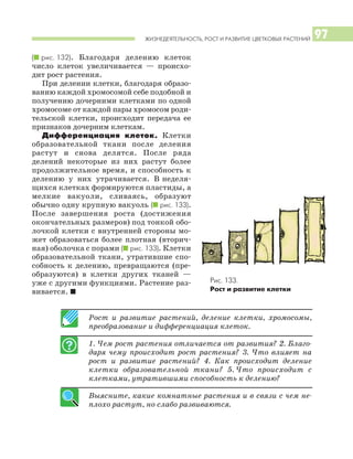 ЖИЗНЕДЕЯТЕЛЬНОСТЬ, РОСТ И РАЗВИТИЕ ЦВЕТКОВЫХ РАСТЕНИЙ 97
(I рис. 132). Благодаря делению клеток
число клеток увеличивается — происхо
дит рост растения.
При делении клетки, благодаря образо
ванию каждой хромосомой себе подобной и
получению дочерними клетками по одной
хромосоме от каждой пары хромосом роди
тельской клетки, происходит передача ее
признаков дочерним клеткам.
Дифференциация клеток. Клетки
образовательной ткани после деления
растут и снова делятся. После ряда
делений некоторые из них растут более
продолжительное время, и способность к
делению у них утрачивается. В неделя
щихся клетках формируются пластиды, а
мелкие вакуоли, сливаясь, образуют
обычно одну крупную вакуоль (I рис. 133).
После завершения роста (достижения
окончательных размеров) под тонкой обо
лочкой клетки с внутренней стороны мо
жет образоваться более плотная (вторич
ная) оболочка с порами (I рис. 133). Клетки
образовательной ткани, утратившие спо
собность к делению, превращаются (пре
образуются) в клетки других тканей —
уже с другими функциями. Растение раз
вивается. I
Рост и развитие растений, деление клетки, хромосомы,
преобразование и дифференциация клеток.
1. Чем рост растения отличается от развития? 2. Благо
даря чему происходит рост растения? 3. Что влияет на
рост и развитие растений? 4. Как происходит деление
клетки образовательной ткани? 5. Что происходит с
клетками, утратившими способность к делению?
Выясните, какие комнатные растения и в связи с чем не
плохо растут, но слабо развиваются.
Рис. 133.
Рост и развитие клетки
 